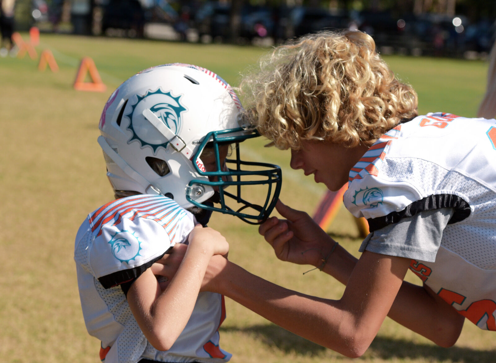 Dolphins vs Panthers